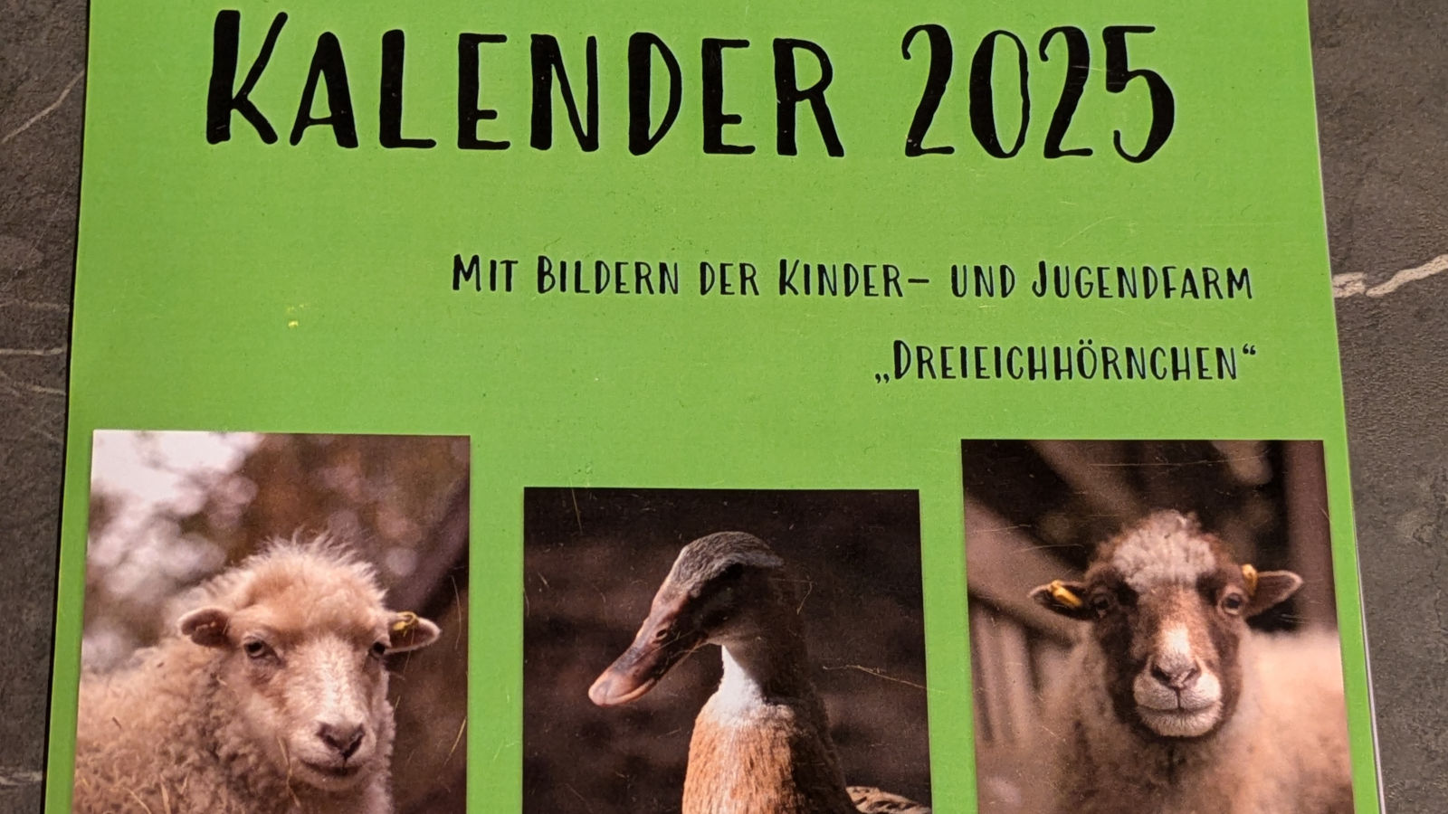 Mehr über den Artikel erfahren Dreieichhörnchen-Kalender 2025 – Jetzt erhältlich!