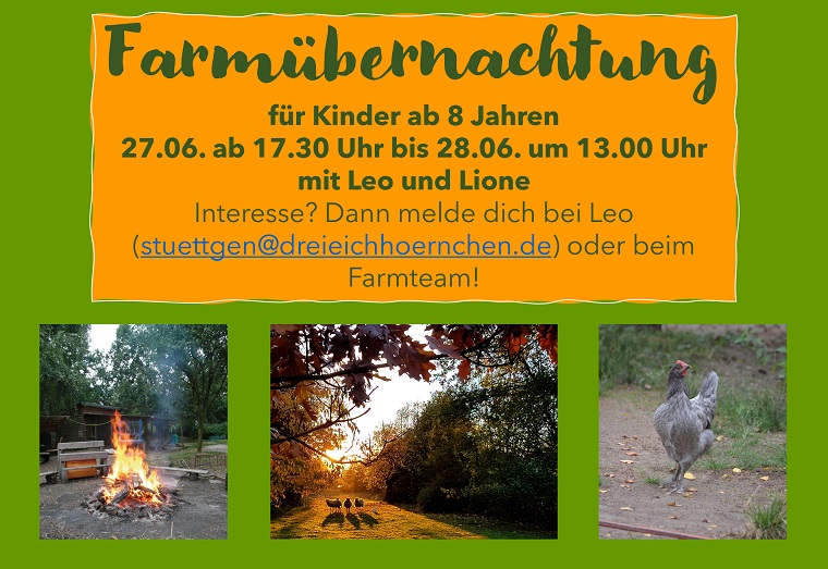 Farmübernachtung für Kinder ab 8 Jahren